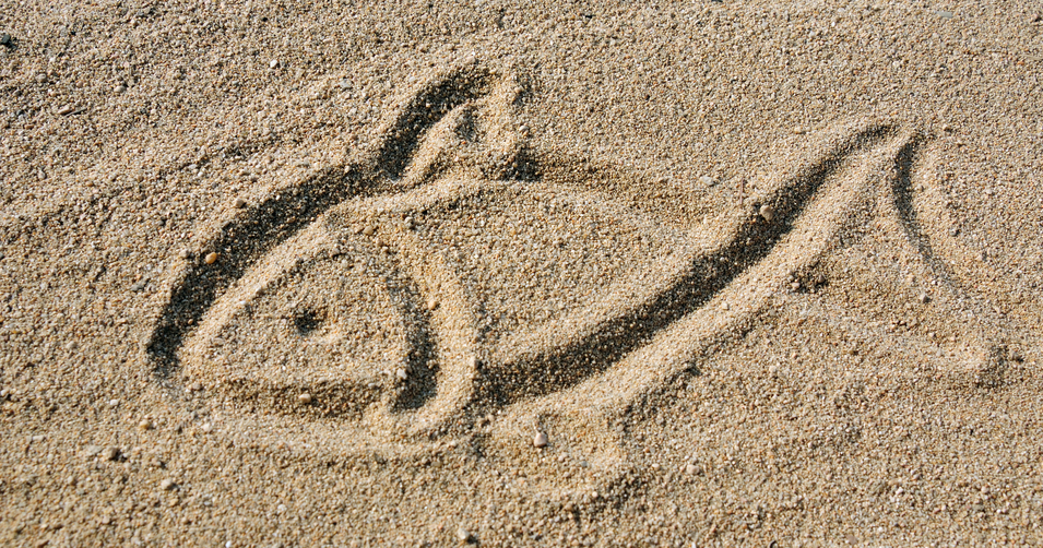 Sandy art, hand drawn fish sign on sand